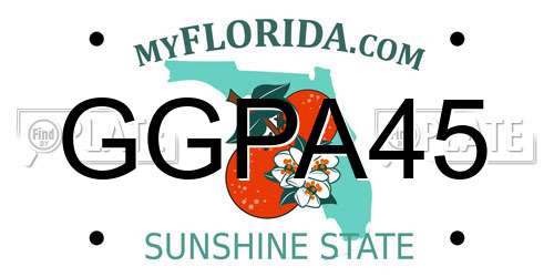 GGPA45 Florida License Plate