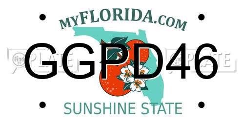 GGPD46 Florida License Plate