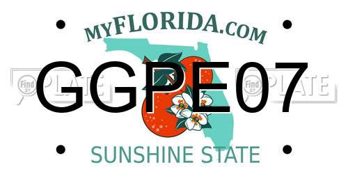 GGPE07 Florida License Plate
