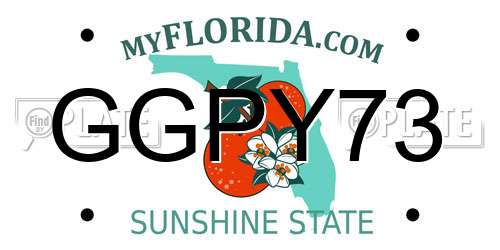 GGPY73 Florida License Plate