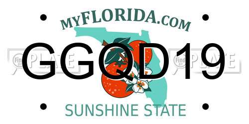 GGQD19 Florida License Plate