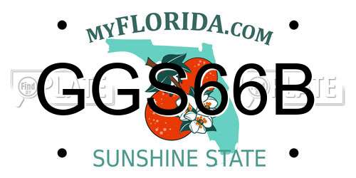 GGS66B Florida License Plate