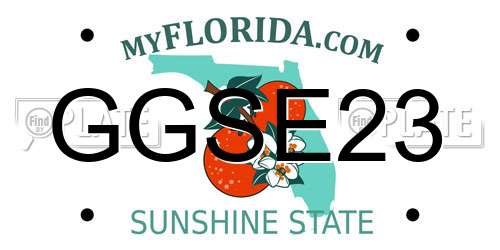 GGSE23 Florida License Plate