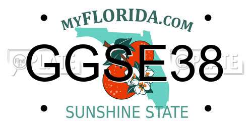 GGSE38 Florida License Plate