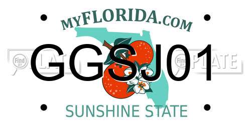 GGSJ01 Florida License Plate