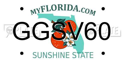 GGSV60 Florida License Plate