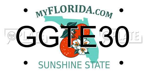GGTE30 Florida License Plate
