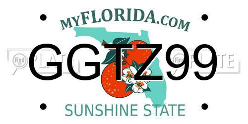 GGTZ99 Florida License Plate
