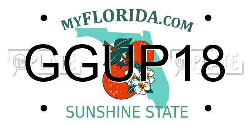 GGUP18 Florida License Plate