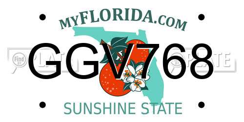 GGV768 Florida License Plate