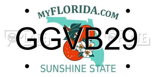 GGVB29 Florida License Plate