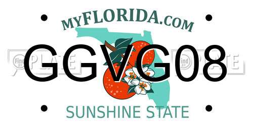 GGVG08 Florida License Plate