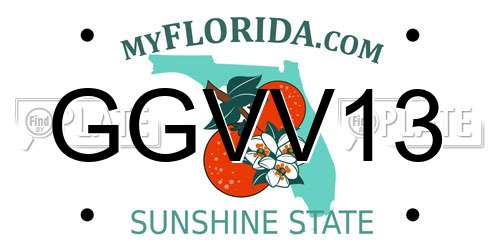 GGVV13 Florida License Plate