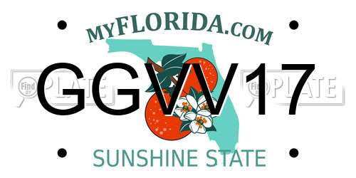 GGVV17 Florida License Plate