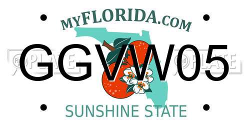 GGVW05 Florida License Plate