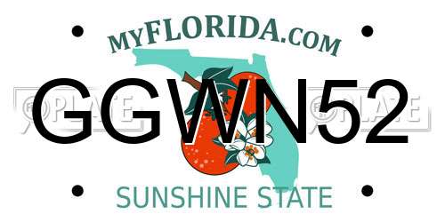 GGWN52 Florida License Plate