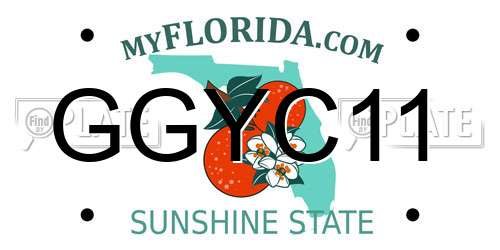 GGYC11 Florida License Plate