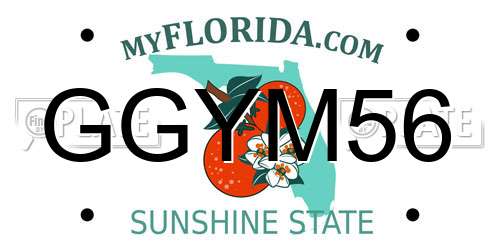 GGYM56 Florida License Plate