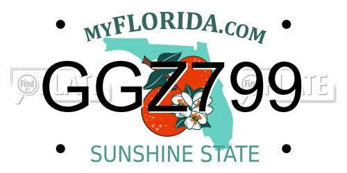 GGZ799 Florida License Plate