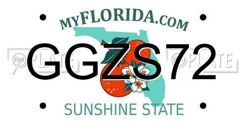 GGZS72 Florida License Plate