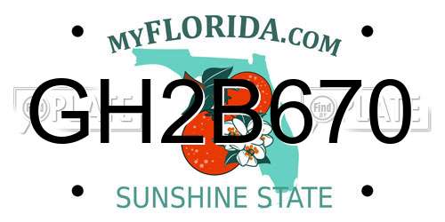 GH2B670 Florida License Plate
