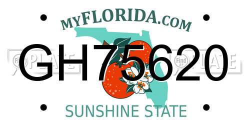 GH75620 Florida License Plate