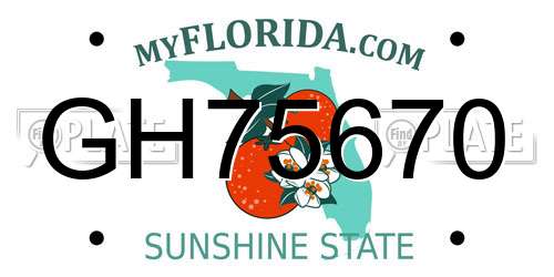 GH75670 Florida License Plate