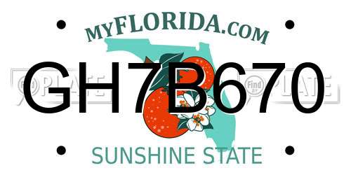 GH7B670 Florida License Plate
