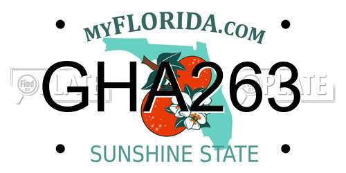 GHA263 Florida License Plate