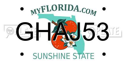 GHAJ53 Florida License Plate