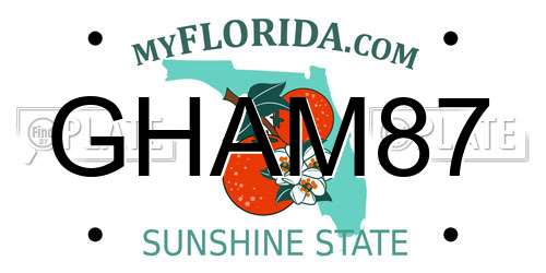 GHAM87 Florida License Plate
