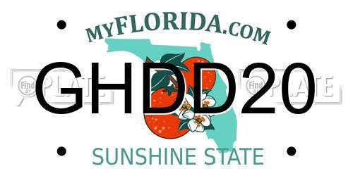 GHDD20 Florida License Plate