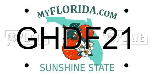 GHDF21 Florida License Plate