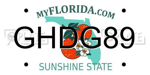 GHDG89 Florida License Plate