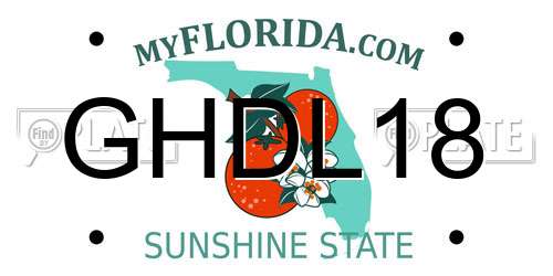 GHDL18 Florida License Plate