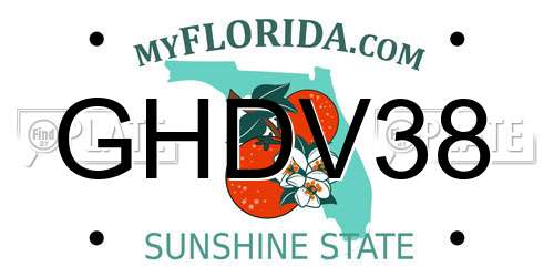 GHDV38 Florida License Plate