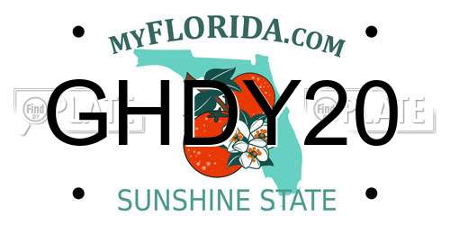 GHDY20 Florida License Plate