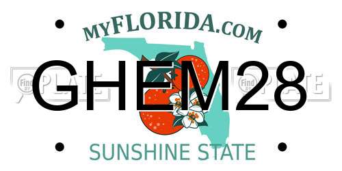 GHEM28 Florida License Plate