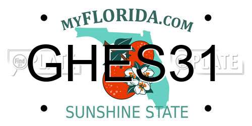 GHES31 Florida License Plate