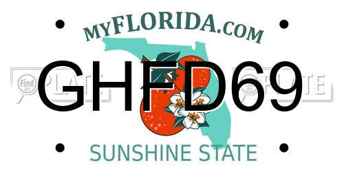 GHFD69 Florida License Plate
