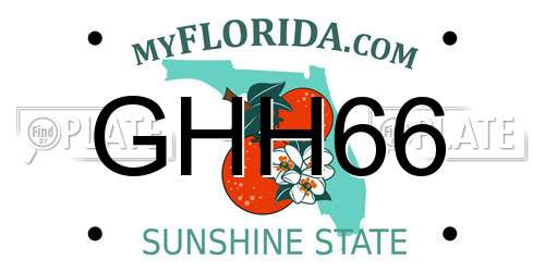 GHH66 Florida License Plate