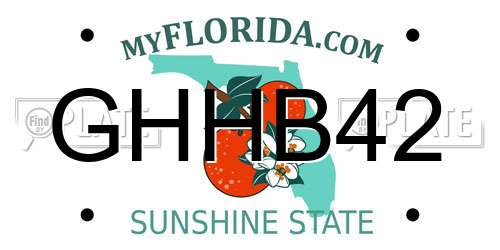 GHHB42 Florida License Plate