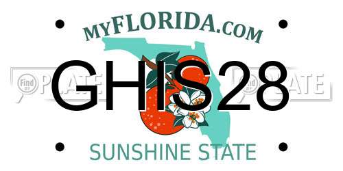 GHIS28 Florida License Plate
