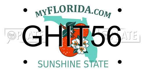 GHIT56 Florida License Plate