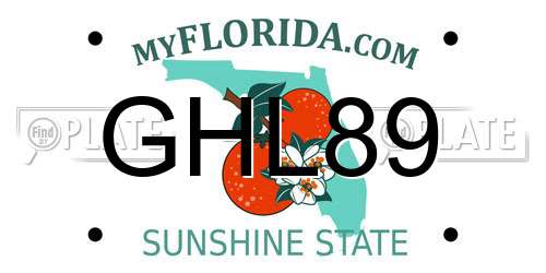 GHL89 Florida License Plate