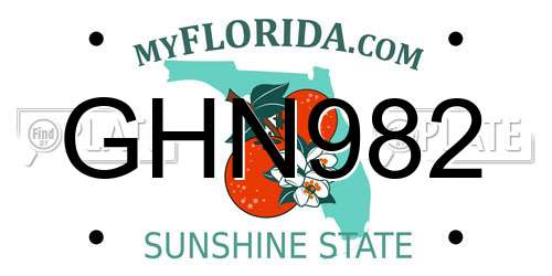 GHN982 Florida License Plate