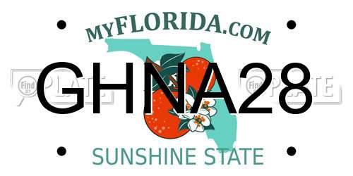 GHNA28 Florida License Plate