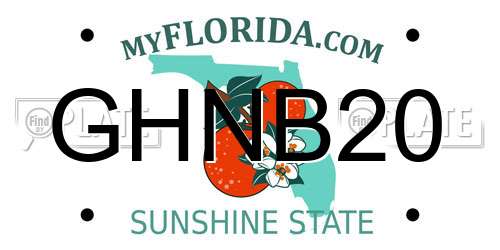 GHNB20 Florida License Plate