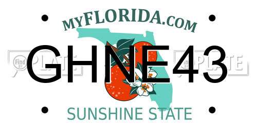 GHNE43 Florida License Plate