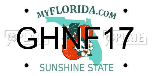 GHNF17 Florida License Plate
